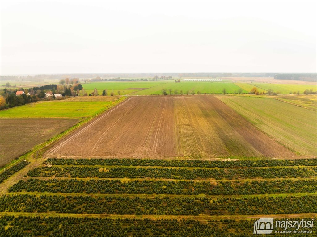 Działka budowlana na sprzedaż Węgorza, Wieś  1 498m2 Foto 14