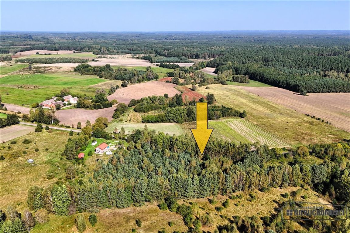 Działka budowlana na sprzedaż Krosino  3 057m2 Foto 4