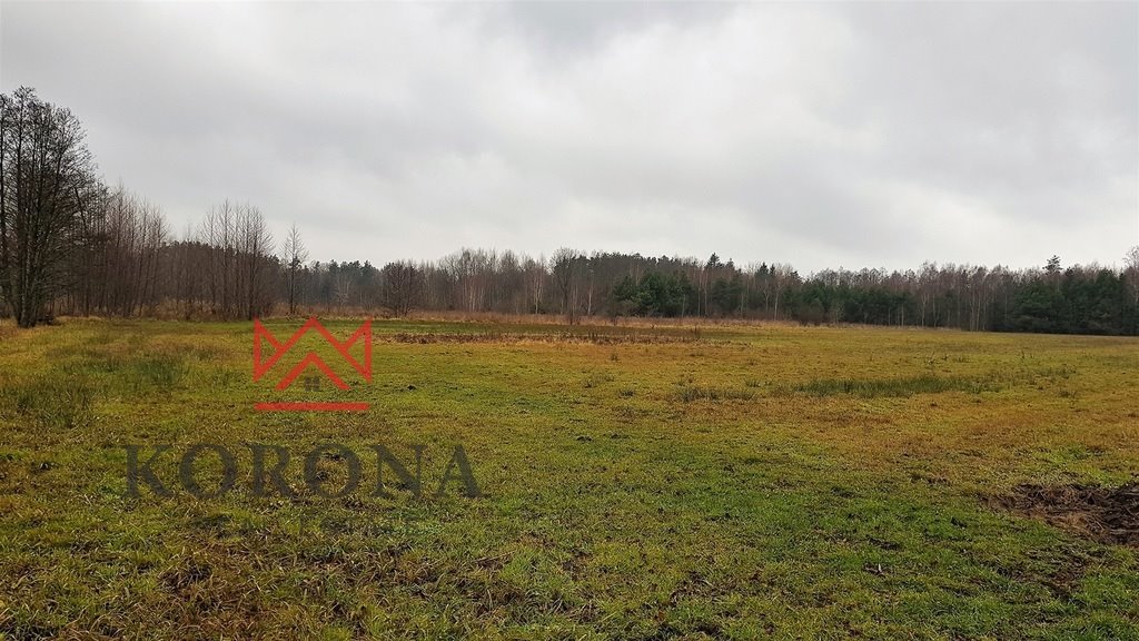 Działka siedliskowa na sprzedaż Skrybicze  3 388m2 Foto 1