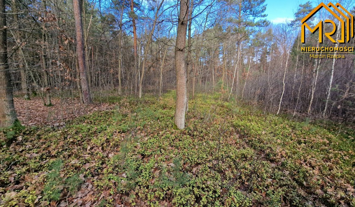 Działka rolna na sprzedaż Stare Żukowice  2 200m2 Foto 13