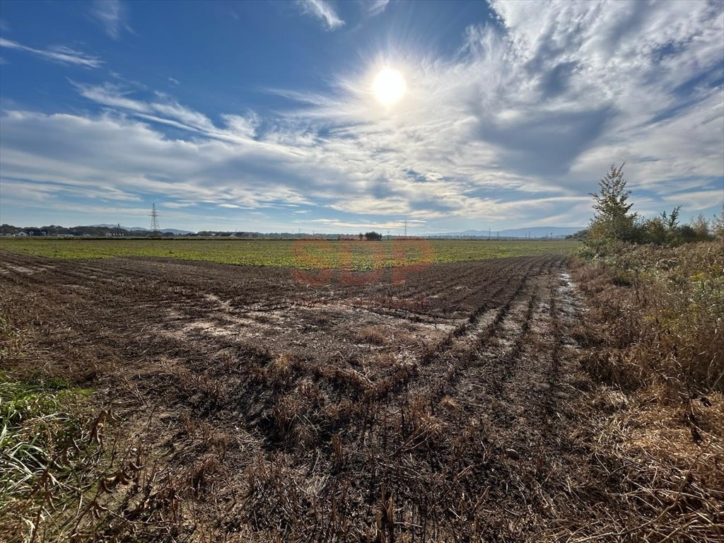 Działka inwestycyjna na sprzedaż Świdnica, Metalowców  26 723m2 Foto 3