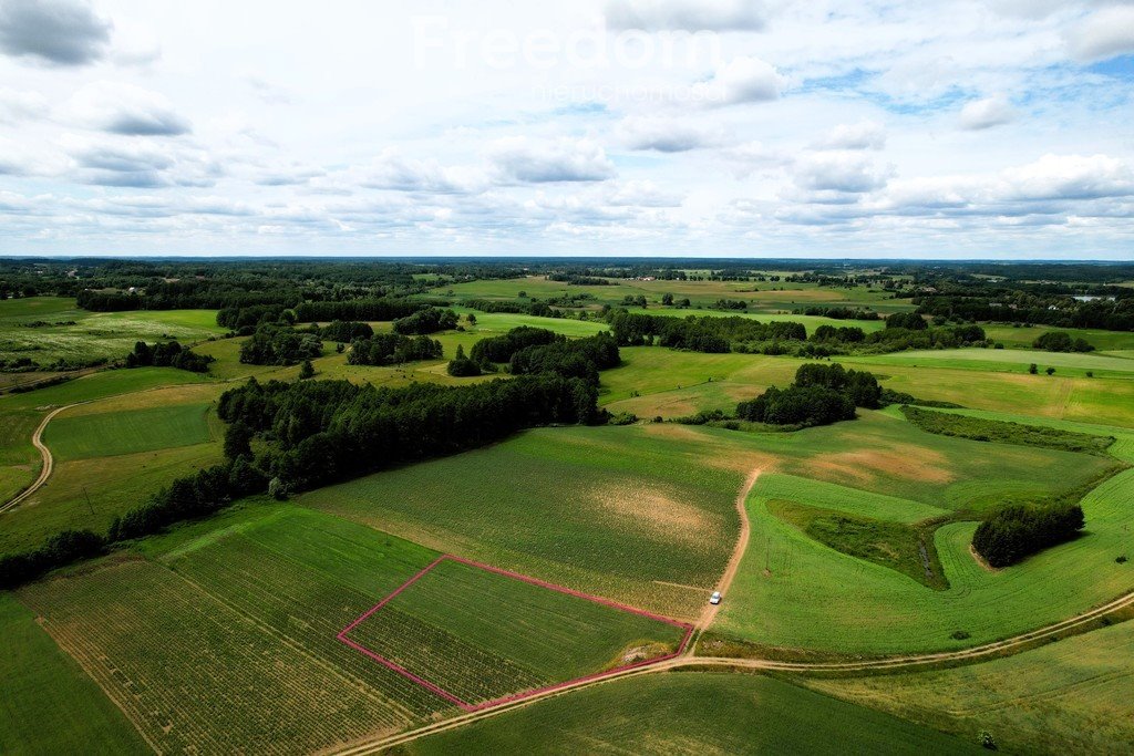 Działka rolna na sprzedaż Bartosze  3 500m2 Foto 6