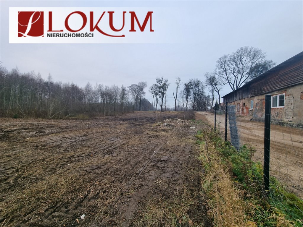 Działka budowlana na sprzedaż Świetlikowo  2 065m2 Foto 2