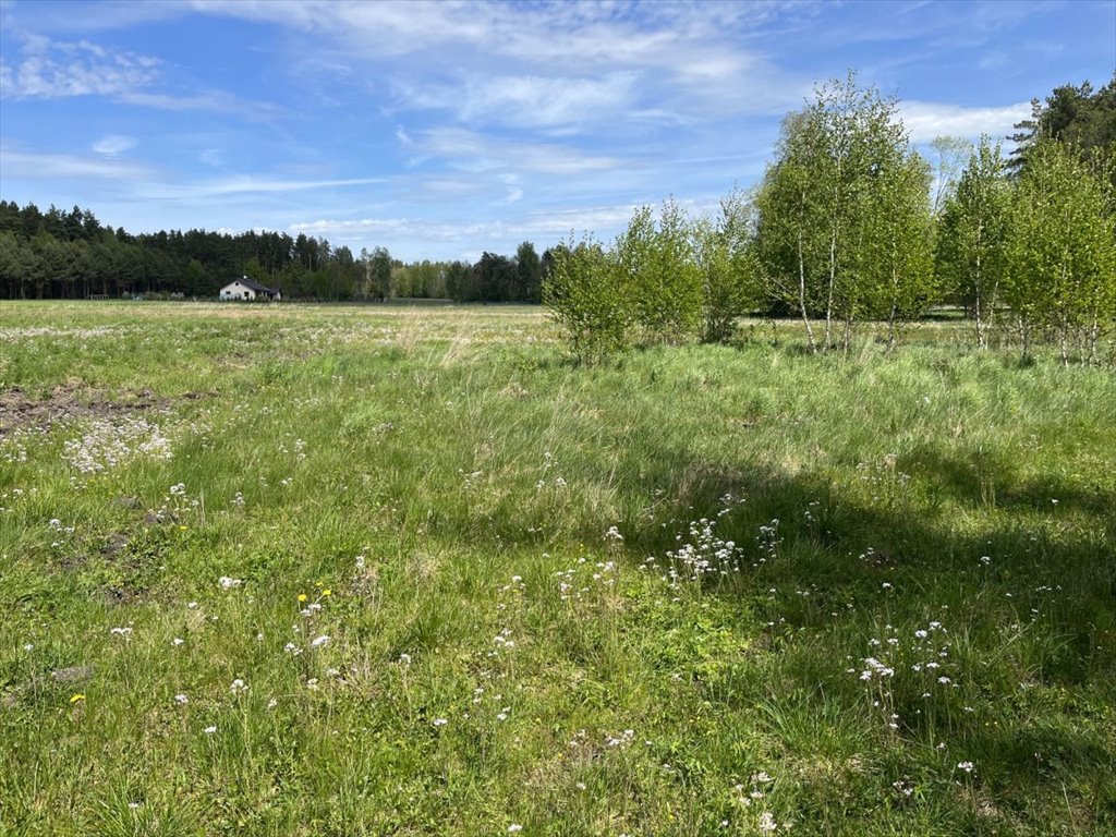 Działka gospodarstwo rolne na sprzedaż Zajezierce  7 153m2 Foto 3