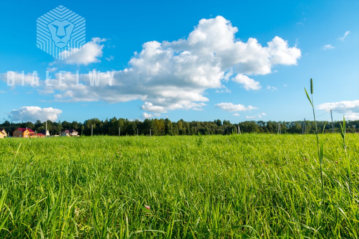 Działka budowlana na sprzedaż Lesznowola  2 230m2 Foto 4