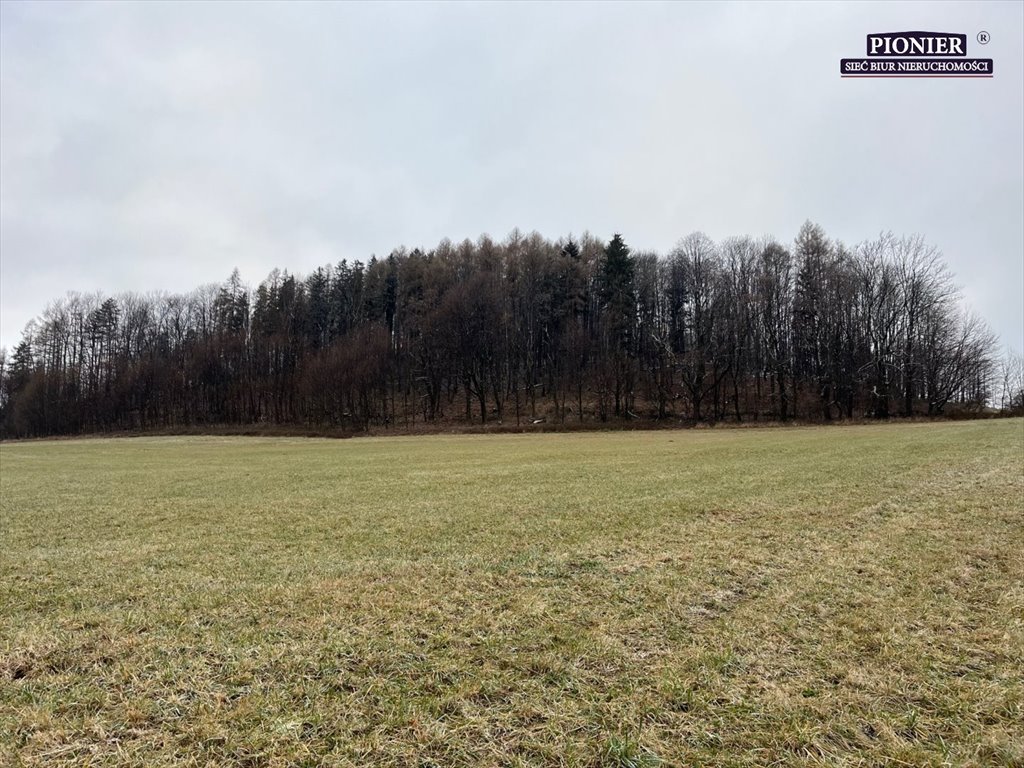 Działka budowlana na sprzedaż Ustroń  3 000m2 Foto 5