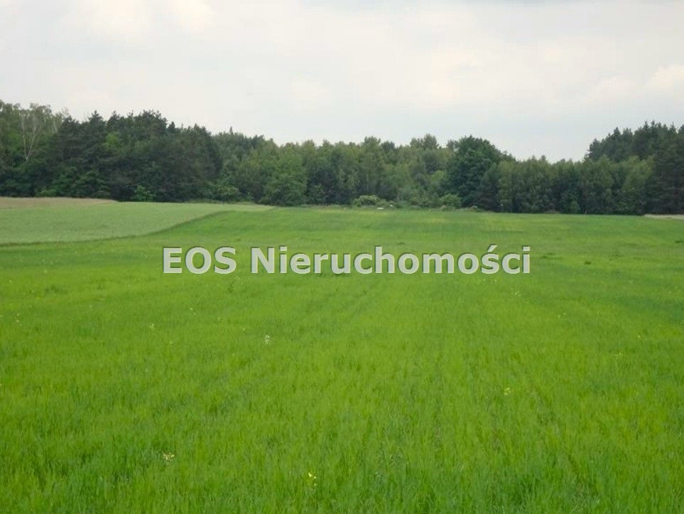 Działka rolna 3,6 ha w Woli Przerębowskiej – licytacja Wola Przerębska  35 950m2 Foto 1