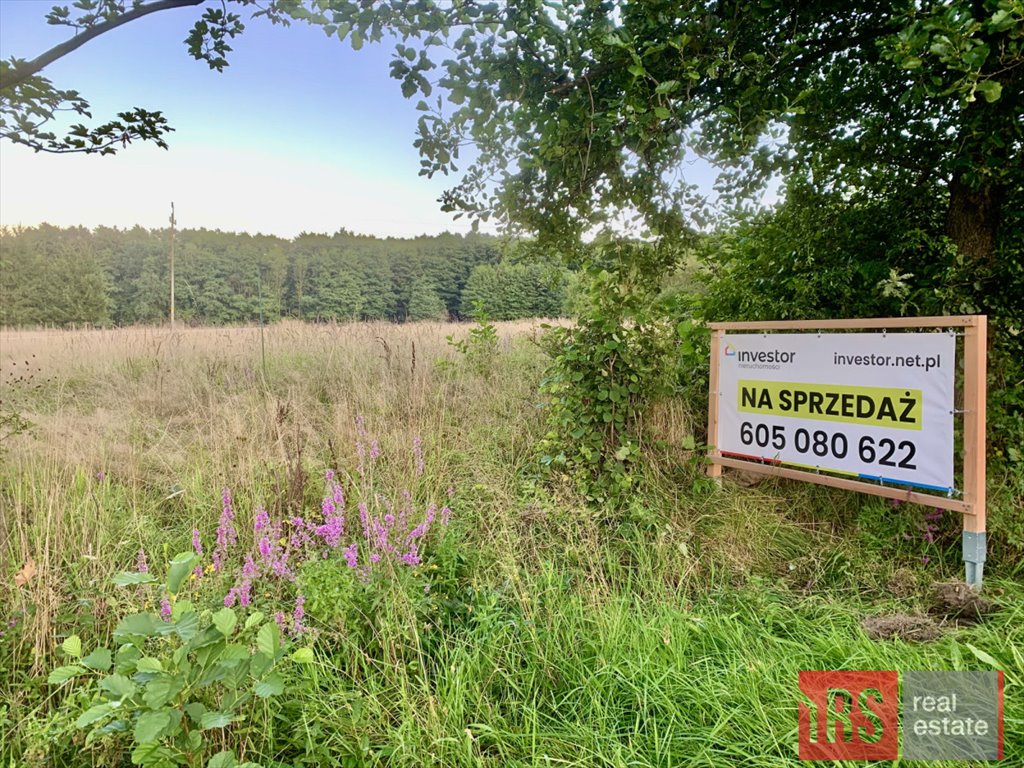 Działka budowlana na sprzedaż Stara Łomnica  1 446m2 Foto 4