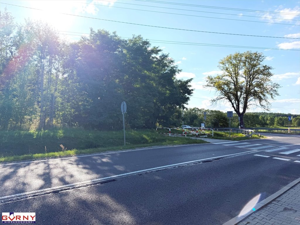 Zdjęcie 8