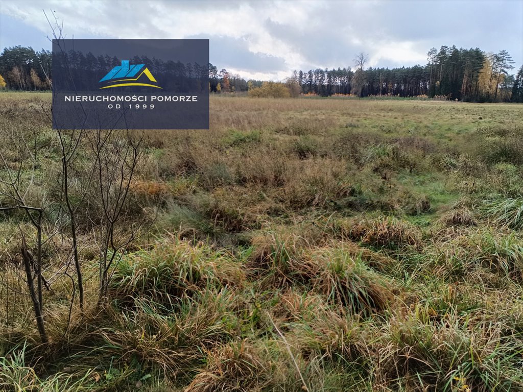 Działka rolna na sprzedaż Mosiny  8 900m2 Foto 5