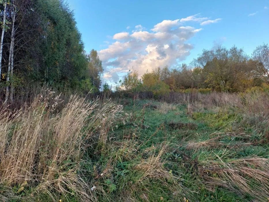 Działka budowlana na sprzedaż Harkawicze  1 400m2 Foto 4