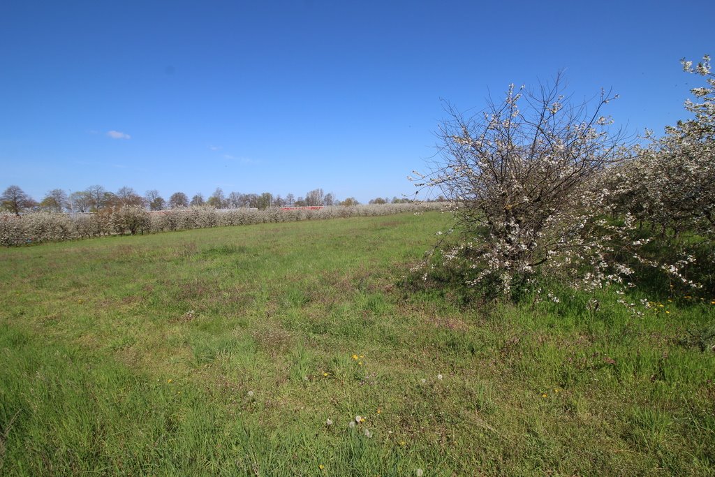 Działka budowlana na sprzedaż Skwierzyna  46 003m2 Foto 12