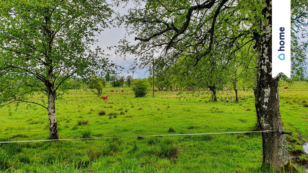 Działka budowlana na sprzedaż Lesica  1 281m2 Foto 1