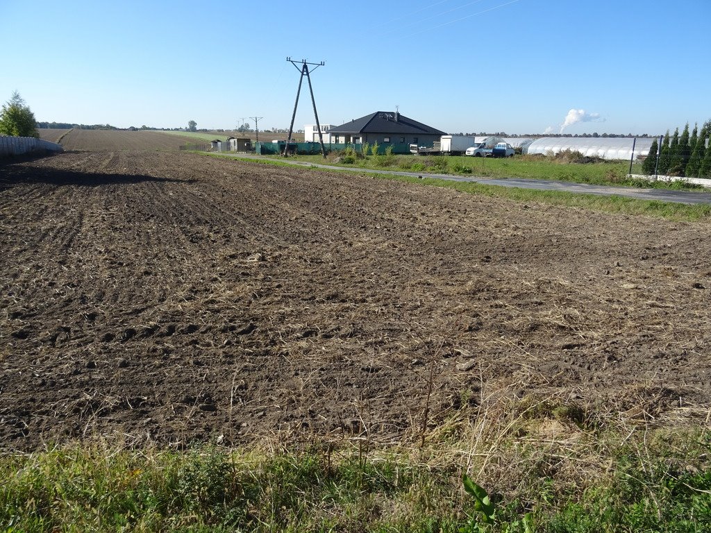 Działka budowlana na sprzedaż Piotrków Trybunalski  3 342m2 Foto 3