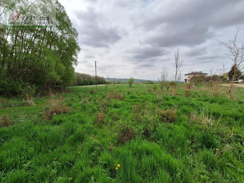 Działka budowlana na sprzedaż Korczyna  6 400m2 Foto 4