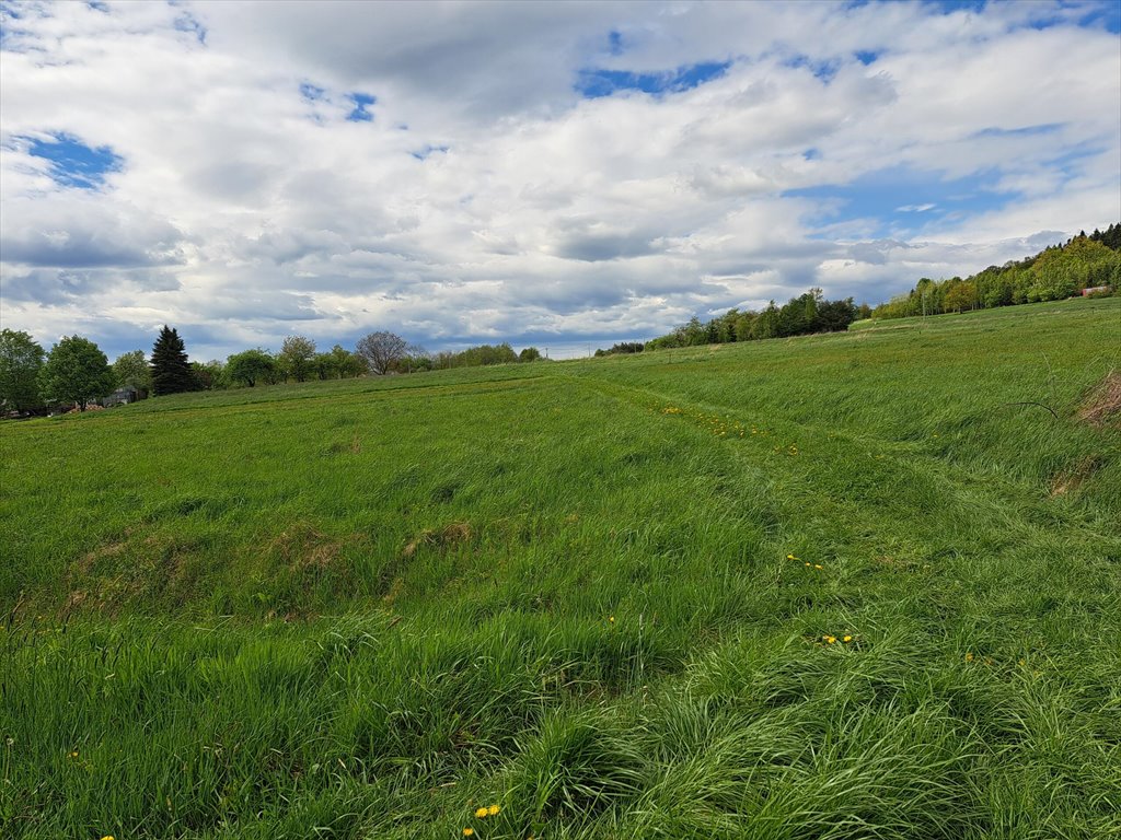 Działka budowlana na sprzedaż Lipinki  3 031m2 Foto 2