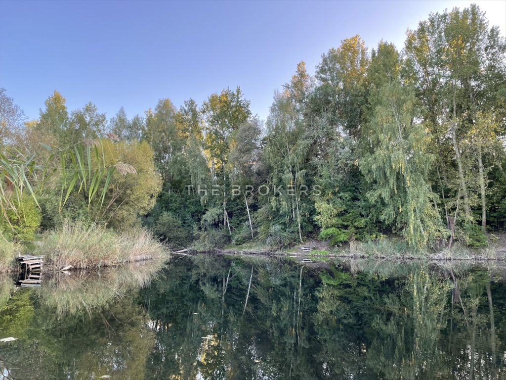 Działka budowlana na sprzedaż Konstancin-Jeziorna, Chylice  7 758m2 Foto 4