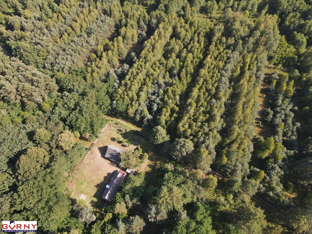 Działka inna na sprzedaż Stobnica-Piła  7 300m2 Foto 5