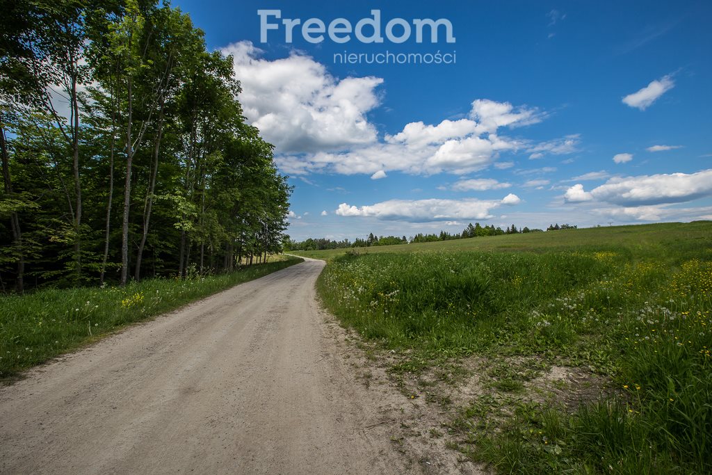 Działka budowlana na sprzedaż Borownica  4 600m2 Foto 9