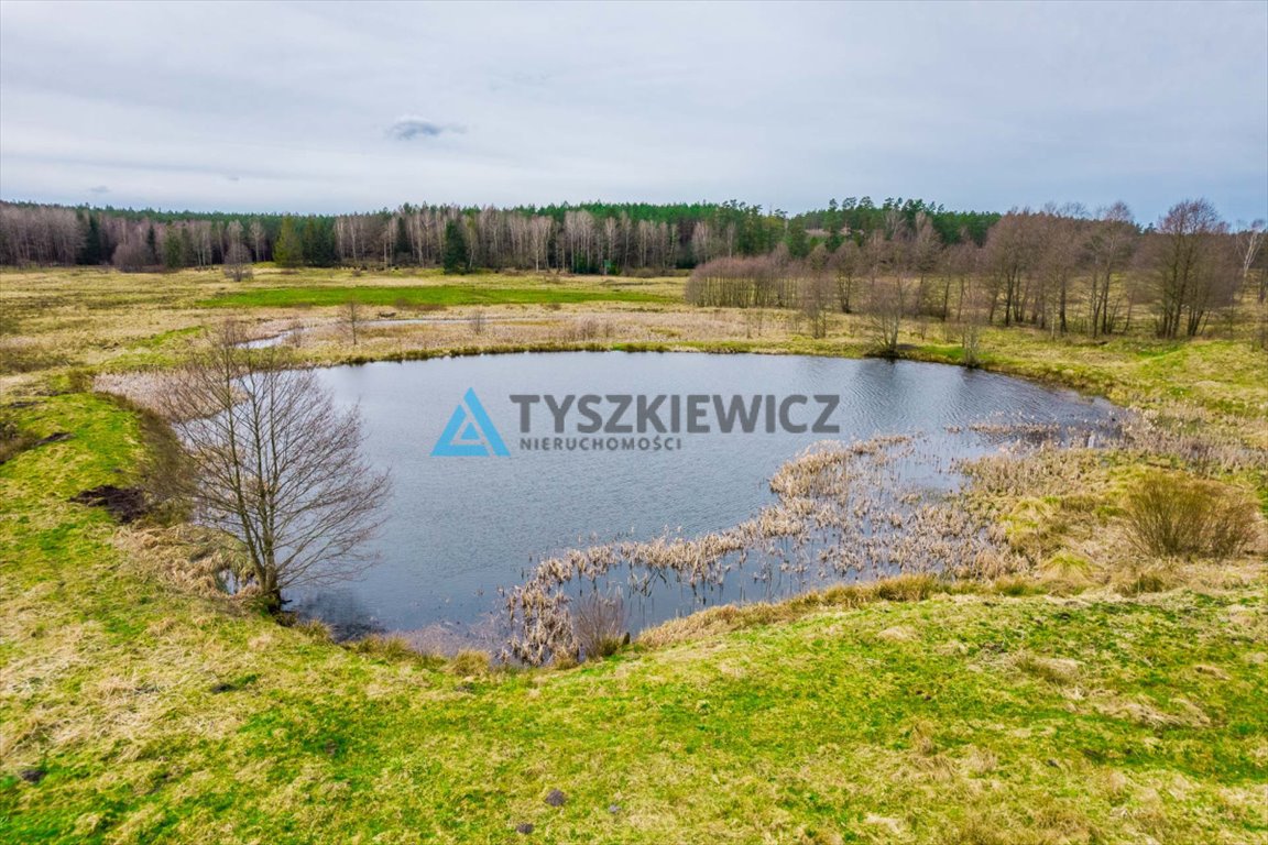 Działka rolna na sprzedaż Zielin  59 900m2 Foto 2