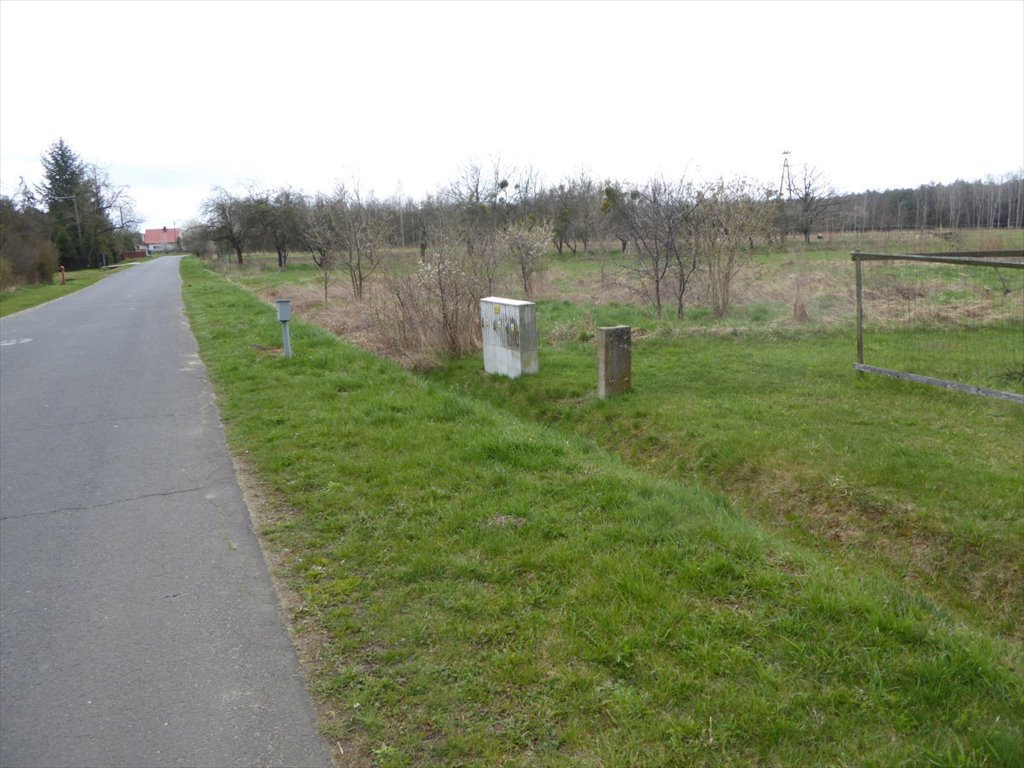 Działka pod dom jednorodzinny w Mrozowie, 6652 m2 Mrozów, Łąkoszyce  6 652m2 Foto 1