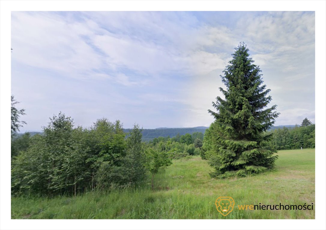 Działka 7497 m² w Chocieszowie - MPZP - widok i możliwości Chocieszów  7 497m2 Foto 1