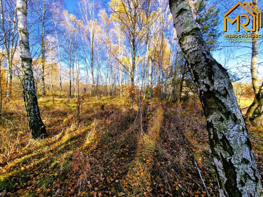 Działka inna na sprzedaż Pogórska Wola  2 389m2 Foto 8