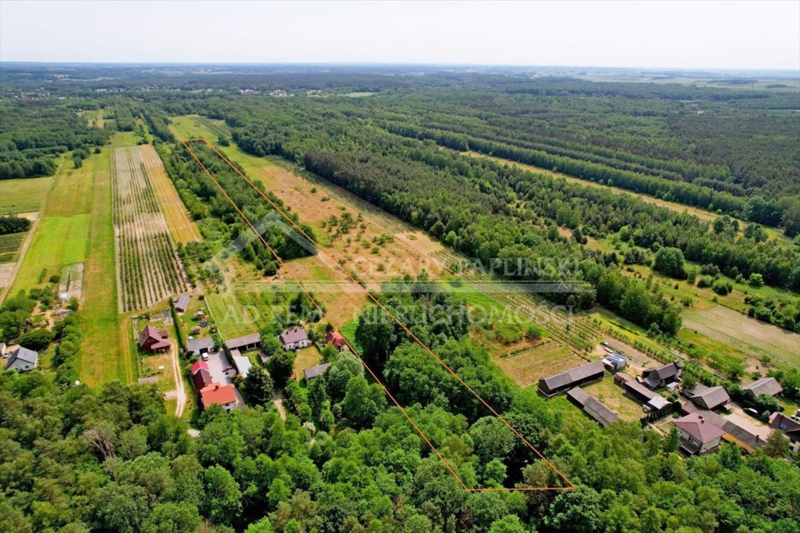 Działka leśna na sprzedaż Uściąż-Kolonia, Uściąż Kolonia  23 000m2 Foto 3