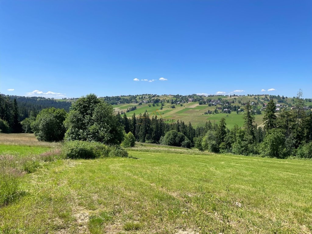 Działka inna na sprzedaż Biały Dunajec  3 000m2 Foto 1