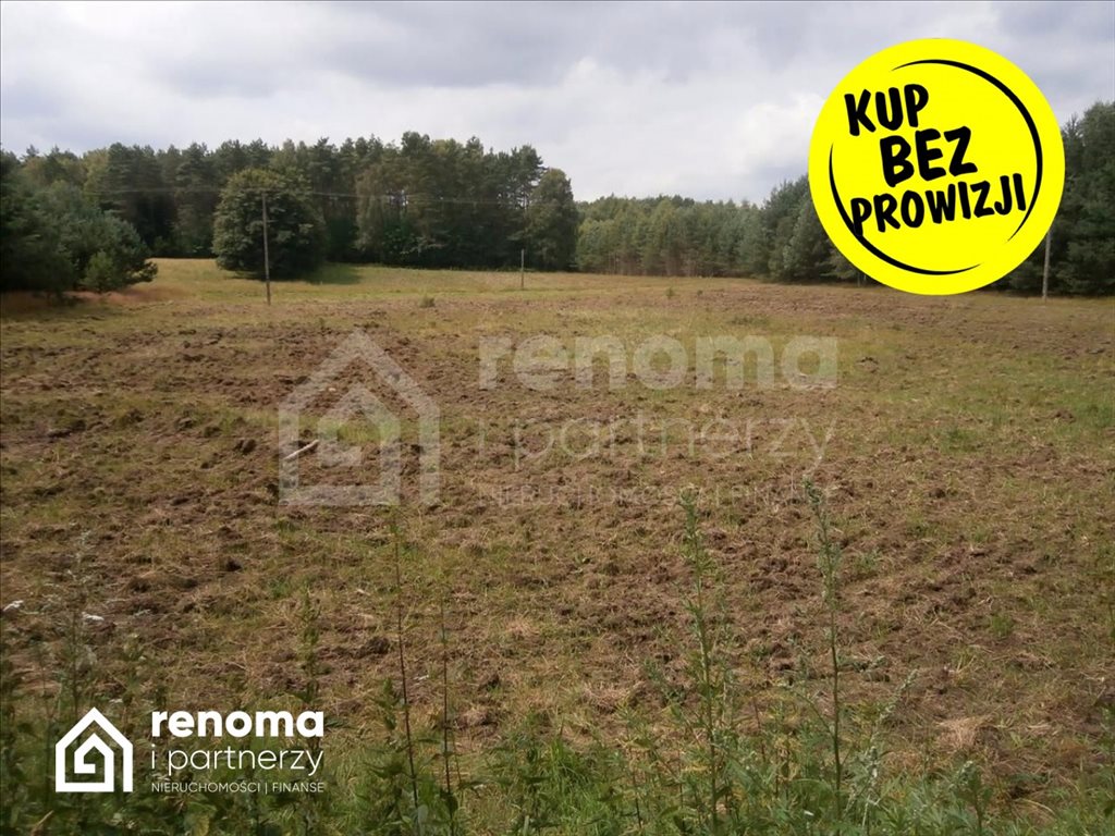 Działka gospodarstwo rolne na sprzedaż Powidz  4 100m2 Foto 4