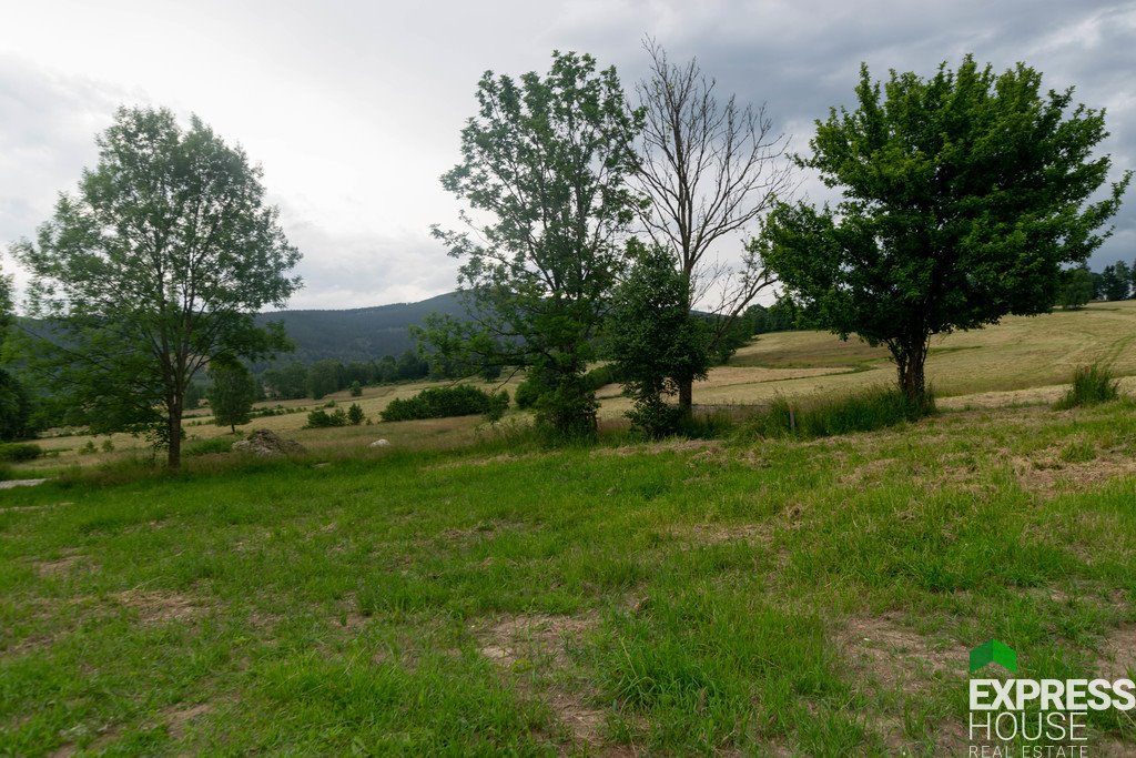 Działka budowlana na sprzedaż Stronie Śląskie, Polna  2 617m2 Foto 1