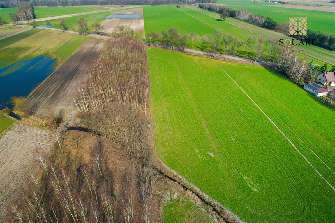 Działka budowlana na sprzedaż Krajęczyn  1 200m2 Foto 6