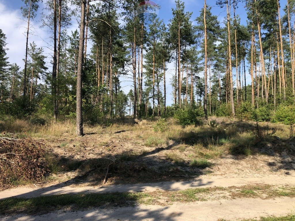 Działka budowlana na sprzedaż Wygoda  3 412m2 Foto 12