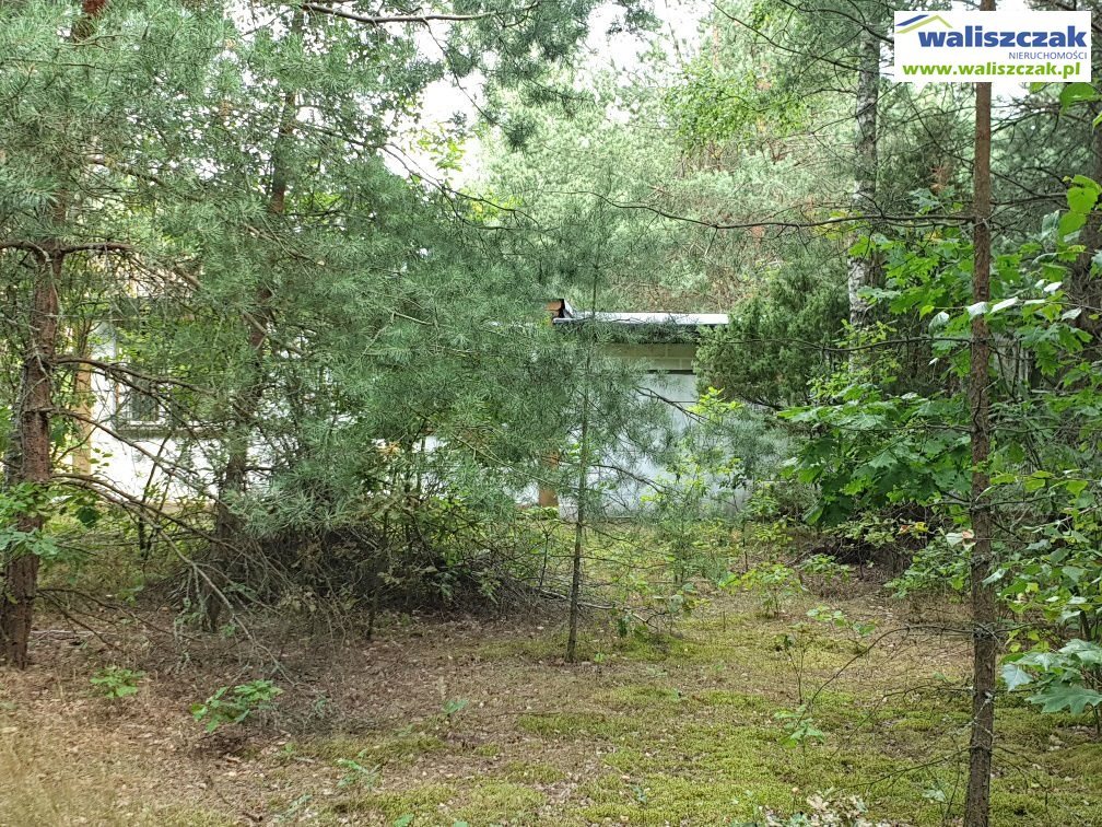 Działka budowlana na sprzedaż Szarbsko 3 600m2 Foto 1 Działka budowlana na sprzedaż Szarbsko 3 600m2 Foto 1