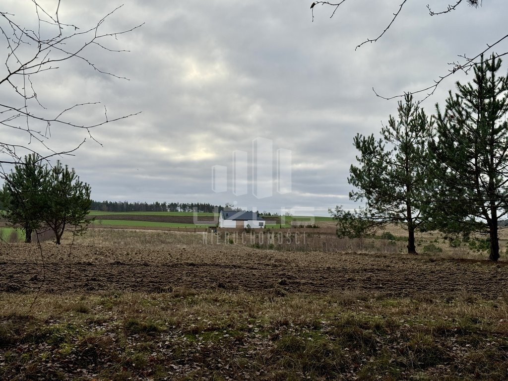 Działka inna na sprzedaż Przytarnia  1 570m2 Foto 15