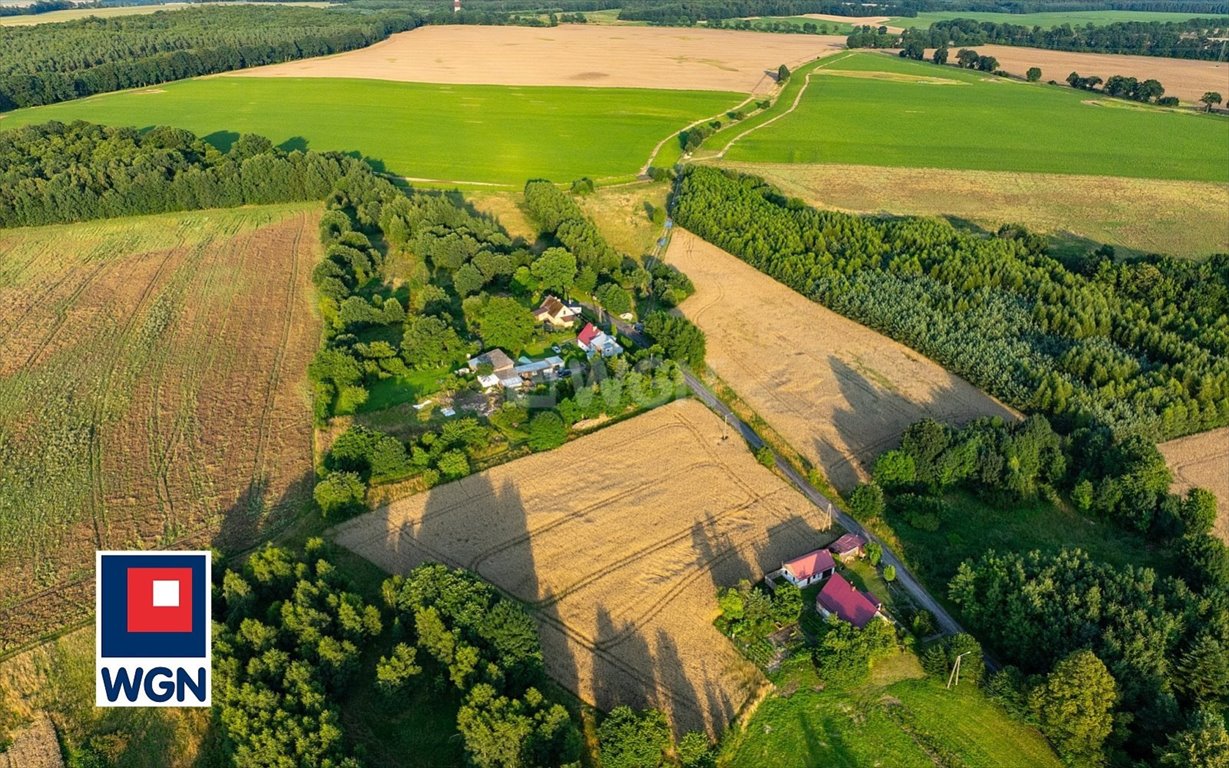 Działka siedliskowa na sprzedaż Dargoleza, Dargoleza  4 520m2 Foto 7