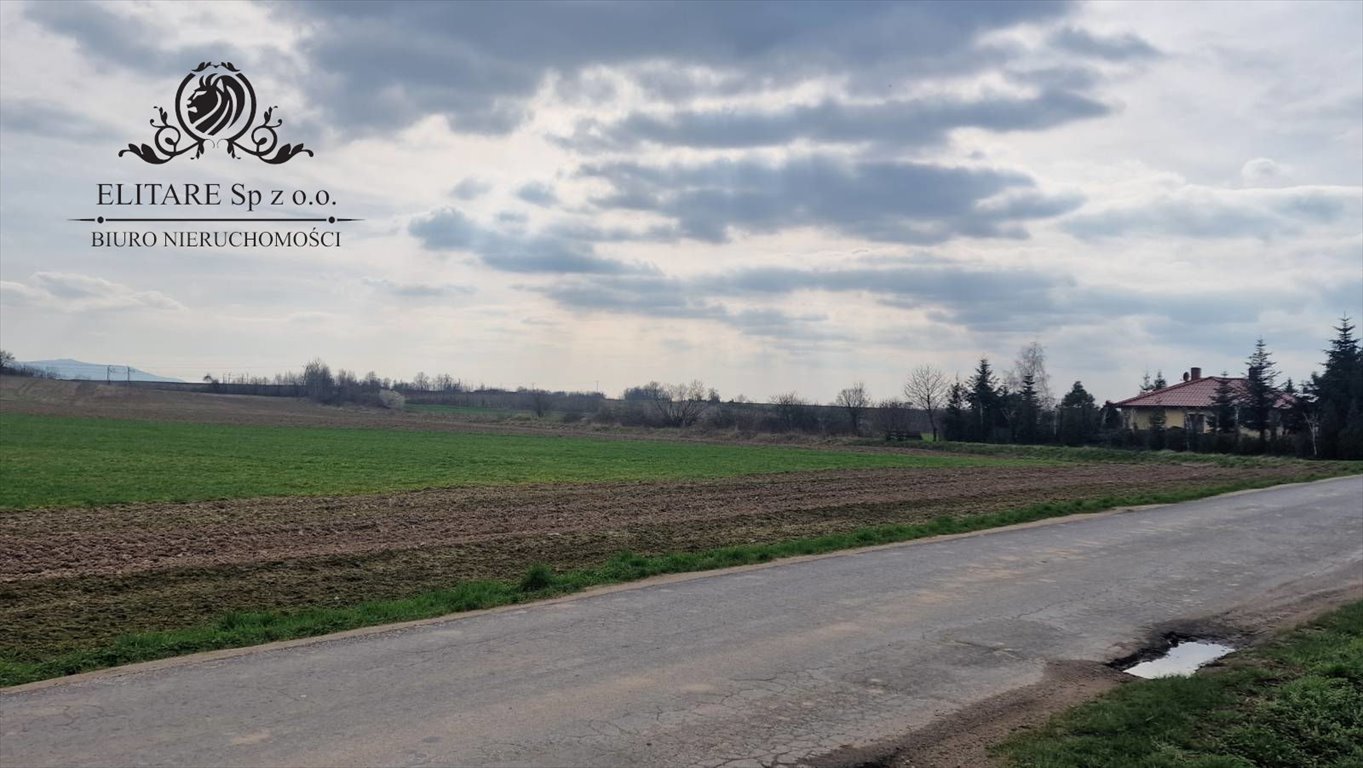 Działka siedliskowa 3000 m² w Sokolnikach, super cena! Sokolniki, Sokolniki  3 000m2 Foto 1