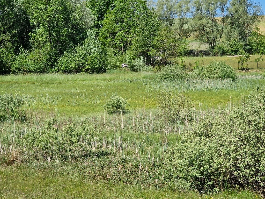 Działka budowlana na sprzedaż Szarłata, Spadzista  15 977m2 Foto 11