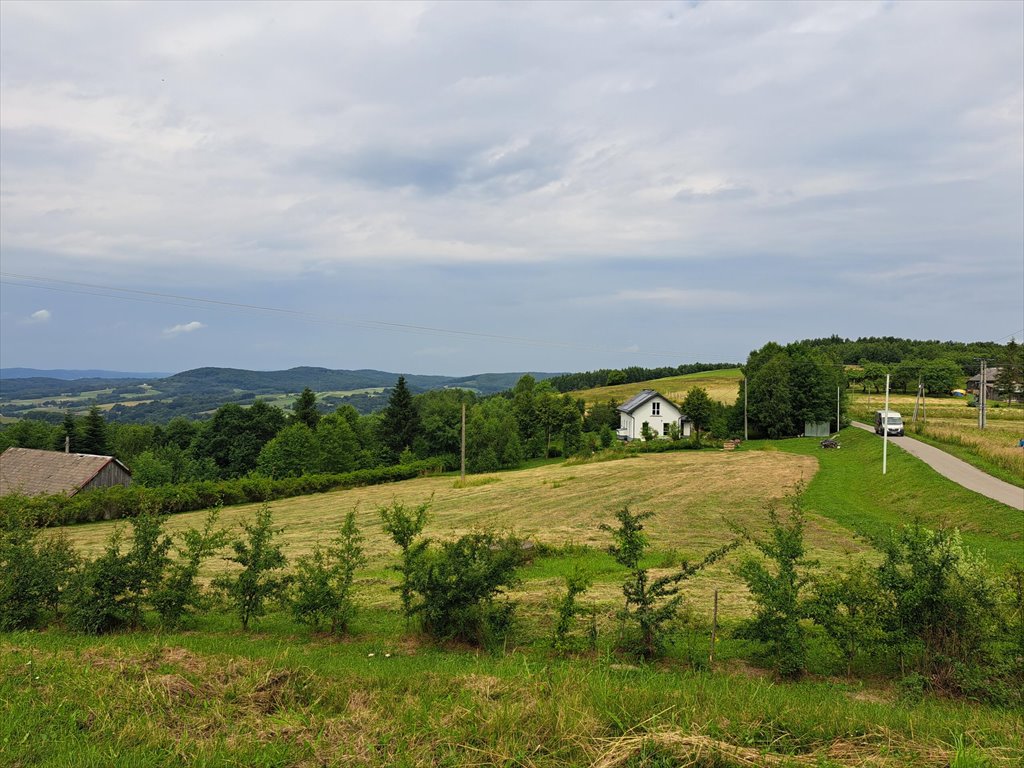 Działka rolna na sprzedaż Niebocko  2 860m2 Foto 2