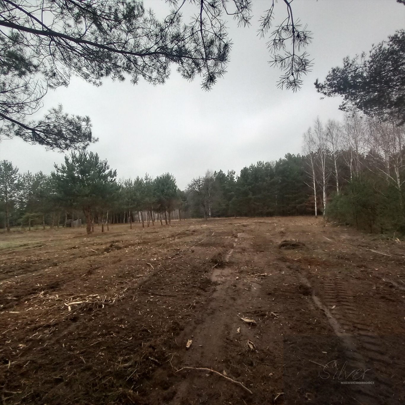 Działka budowlana na sprzedaż Adamów-Parcel  1 540m2 Foto 2