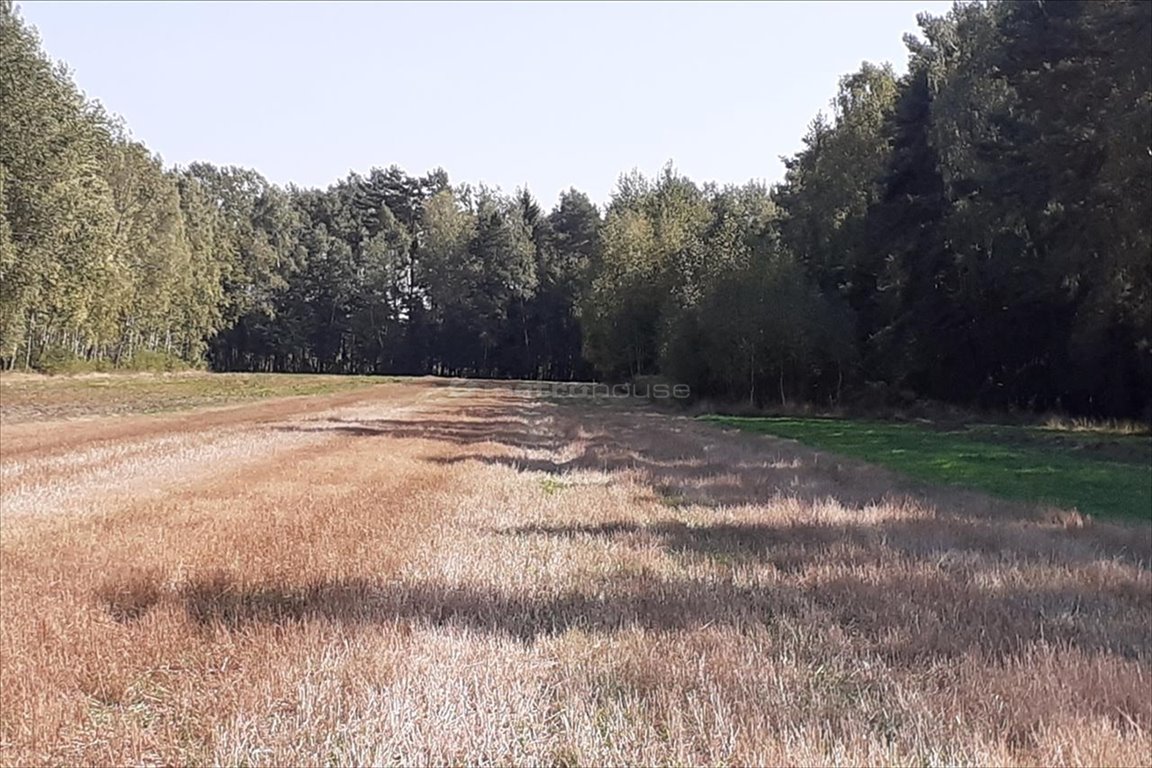 Działka rolna na sprzedaż Dobrzanów, Skórzec  6 264m2 Foto 1