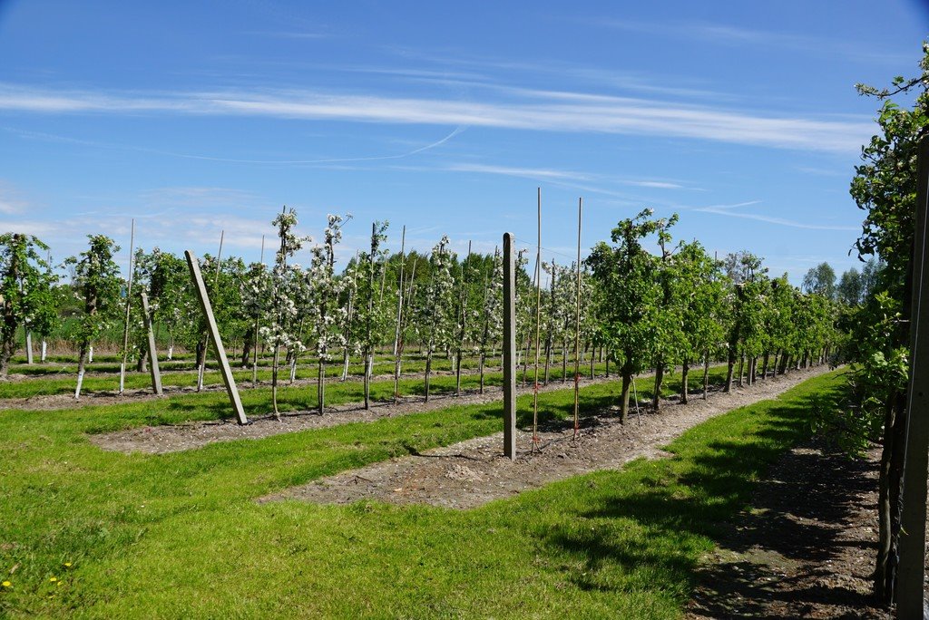 Dom na sprzedaż Wincentów  240m2 Foto 18