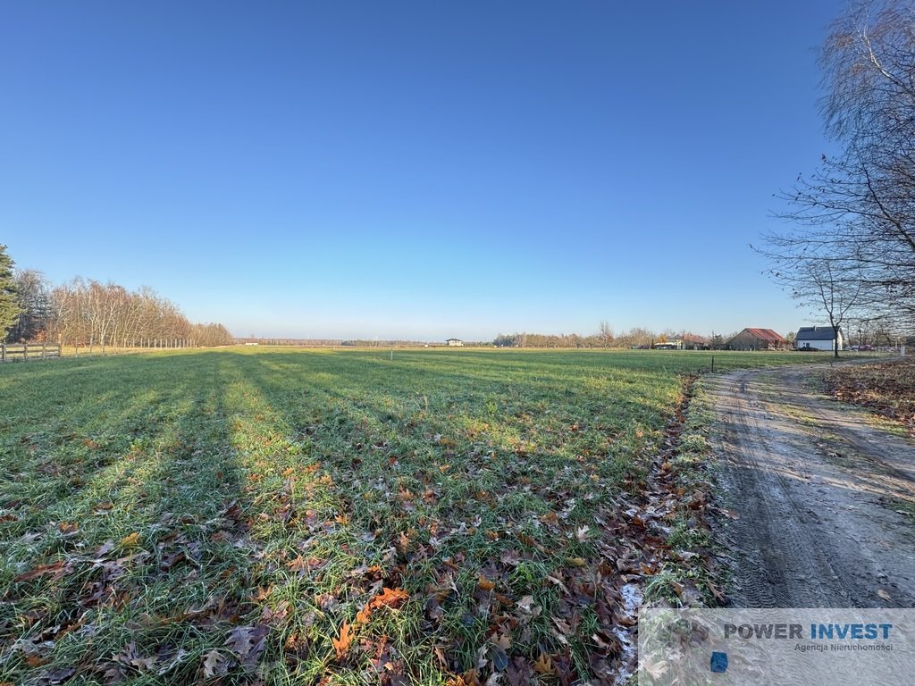 Działka budowlana na sprzedaż Powązki  19 500m2 Foto 11