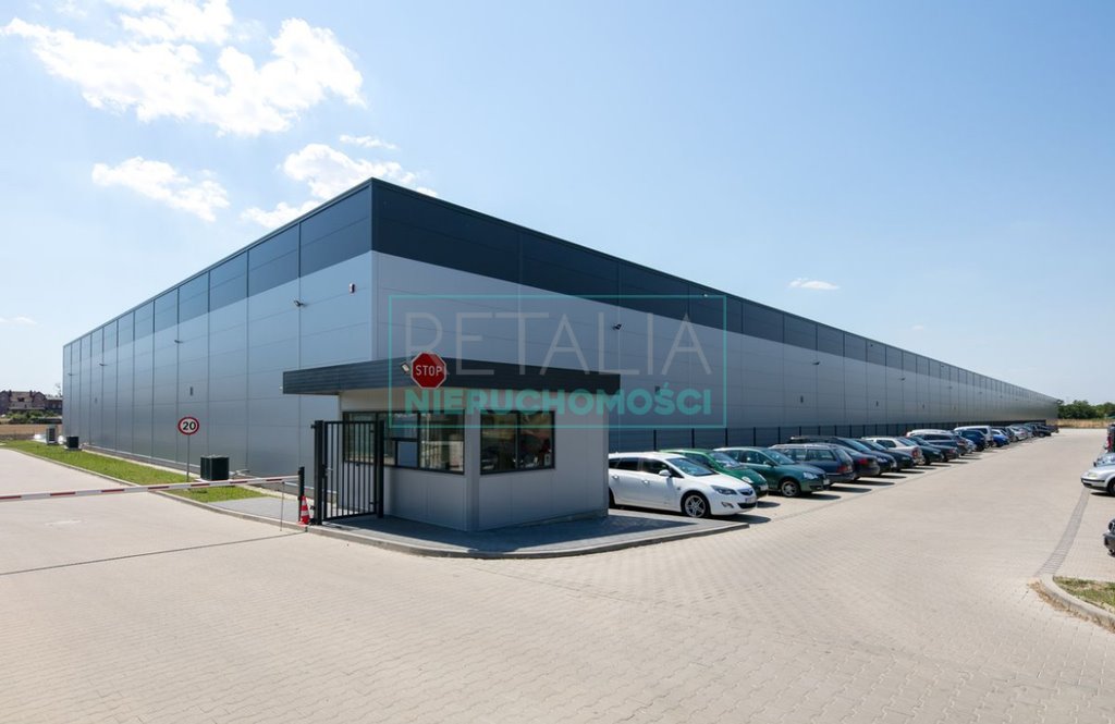 Dwie działki inwestycyjne 6468 m² pod zabudowę w Adamowicach Adamowice  6 468m2 Foto 1