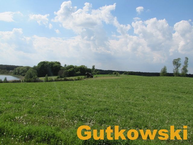 Działka rolna na sprzedaż Jamielnik, gmina Nowe Miasto Lubawskie  10 005m2 Foto 7