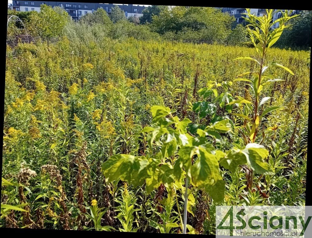 Działka budowlana na sprzedaż Warszawa, Białołęka  794m2 Foto 3