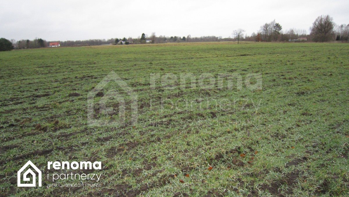 Działka budowlana na sprzedaż Bukowo Morskie  3 035m2 Foto 2