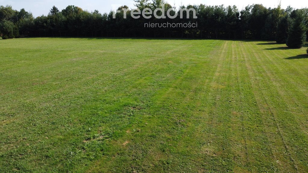 Działka siedliskowa na sprzedaż Moderówka  3 009m2 Foto 7