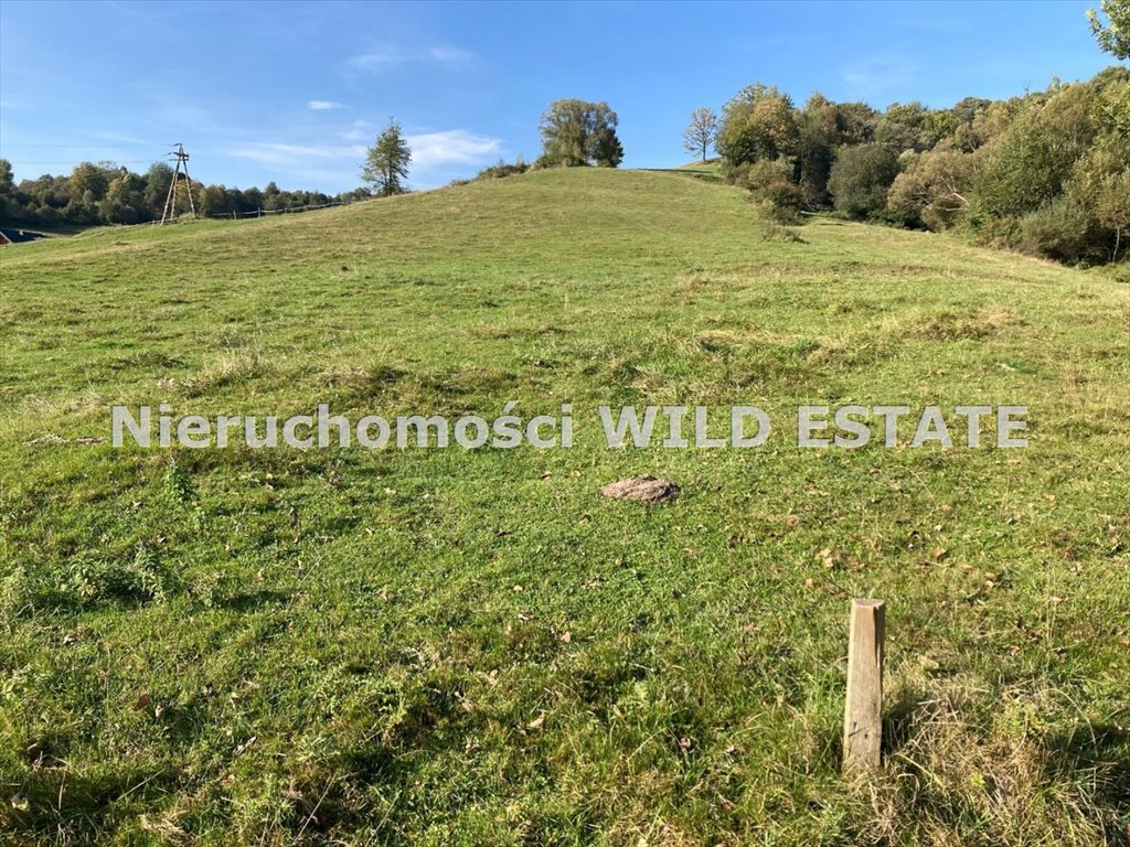 Działka budowlana na sprzedaż Ustrzyki Dolne, Daszówka  2 000m2 Foto 8