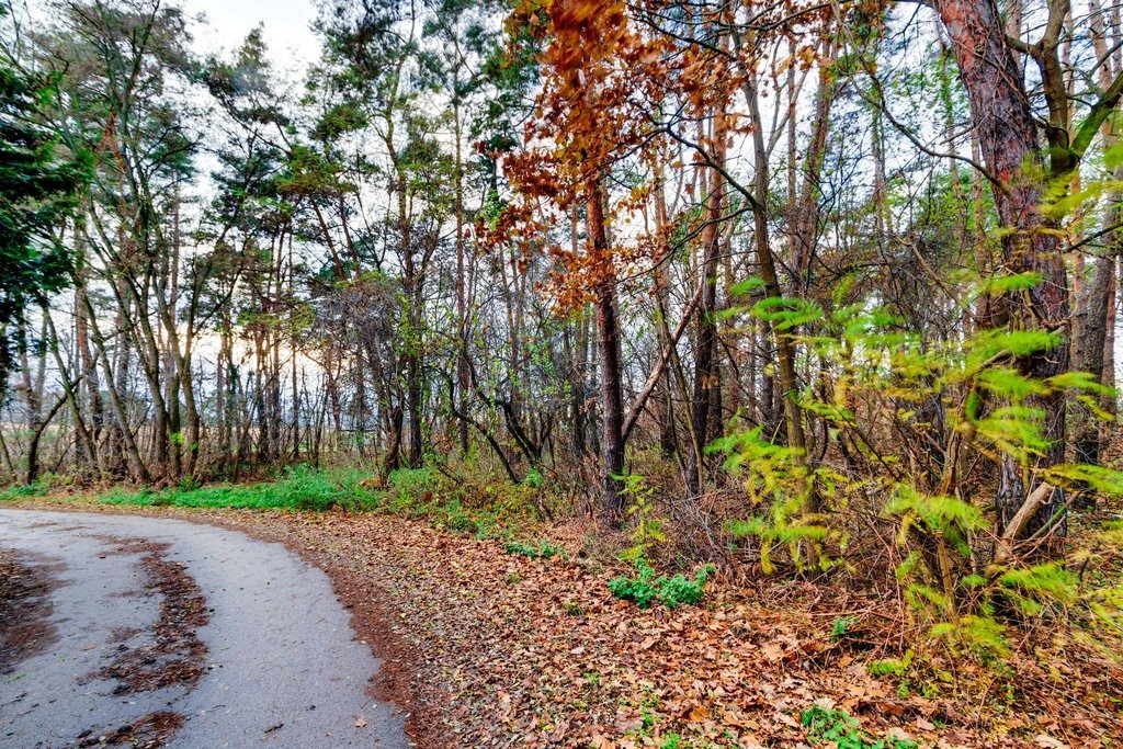 Działka budowlana na sprzedaż Czosnów, Warszawska  2 066m2 Foto 12